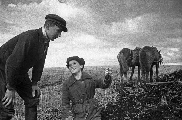 Юго-Западный фронт, июнь-июль 1942 года (фото Н. Боде)